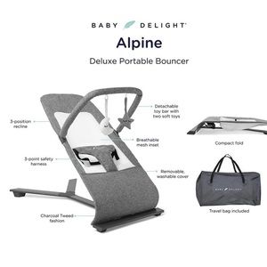 COPY - Portable Baby Delight Bouncer - NEW!!